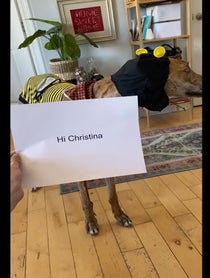 Poster for Birthday video from Risk it all Paul