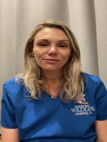 Poster for Birthday video from Dr Bree - Wildlife Vet