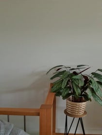 Poster for Birthday video from Lyanna Kea