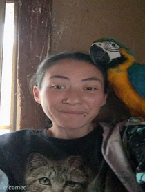 Poster for Intro video video from Mina's Animal Sanctuary