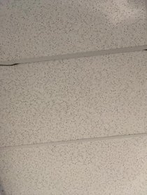 Poster for Birthday video from 66Samus