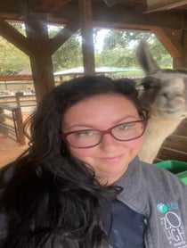 Poster for Birthday video from Fiesta the Llama at Houston Zoo