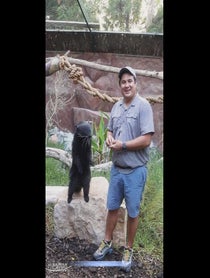 Poster for Intro video video from Reyna the Binturong