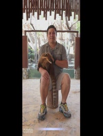 Poster for Intro video video from Manaus the South American Coatis
