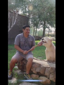 Poster for Intro video video from Cuppy The White Lioness
