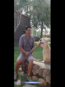 Poster for Intro video video from Cuppy The White Lioness