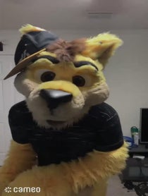 Poster for Intro video video from Daxter Dingo