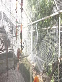 Poster for Other video from Florida Exotic Bird Sanctuary
