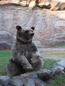 Poster for Give Thanks video from Teddy the Famepark Bear