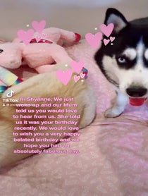 Poster for Birthday video from Star and Arctic
