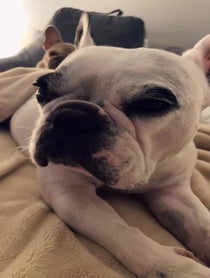 Poster for Birthday video from Walter Geoffrey