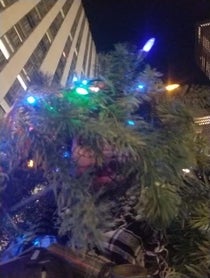 Poster for Holiday video from Mister Christmas Tree