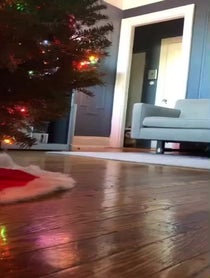 Poster for Holiday video from Charlie The Teddy Bear