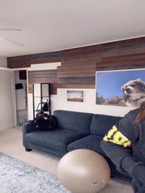 Poster for Other video from Jill Michele Melean