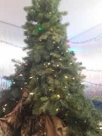 Poster for Holiday video from Mister Christmas Tree