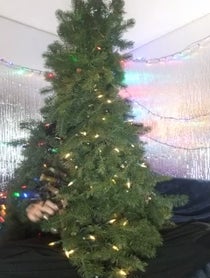 Poster for Holiday video from Mister Christmas Tree