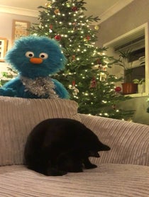 Poster for Holiday video from Milo’s World