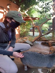 Poster for Holiday video from Wildlife Learning Center