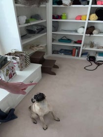 Poster for Gift video from oompaville