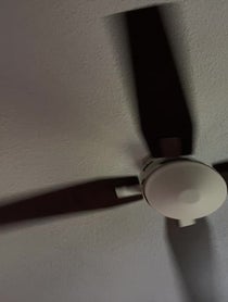 Poster for Birthday video from Miguel Fuller