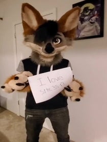 Poster for Other video from Foxter