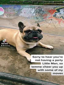 Poster for Birthday video from Eroc Dog