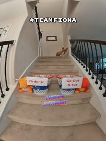 Poster for Birthday video from Steph Furry