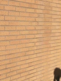 Poster for Other video from V.C. DuPree