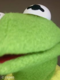 Poster for Intro video video from Kermit the Tribute