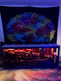 Poster for Other video from Snubby J