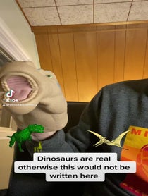 Poster for Other video from DinoDad