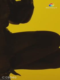 Poster for Intro video video from Leriche