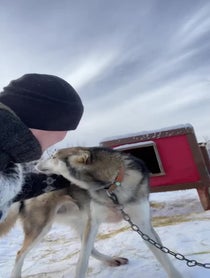 Poster for Birthday video from Dallas Seavey
