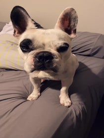 Poster for Birthday video from Walter Geoffrey