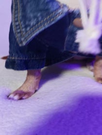 Poster for Other video from Inna The Explorer
