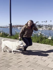 Poster for Valentine's Day video from Fenix ‘Happy dog’ Lumiere