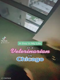 Poster for Intro video video from BellaVet