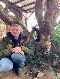 Poster for Other video from Wildlife Learning Center