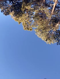 Poster for Birthday video from MoreJStu