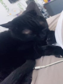 Poster for Birthday video from BigfootJinx