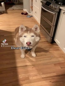 Poster for Anniversary video from Hershey Husky