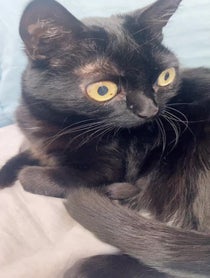 Poster for Other video from BigfootJinx