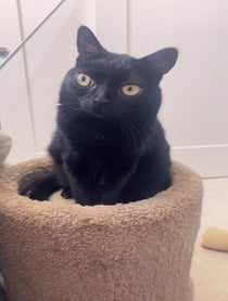 Poster for Other video from BigfootJinx