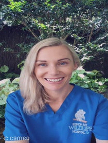 Poster for Intro video video from Dr Bree - Wildlife Vet