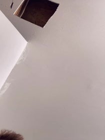 Poster for Other video from MoreJStu