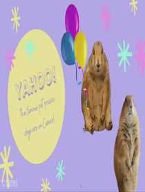 Poster for Intro video video from Pablo And Pedro