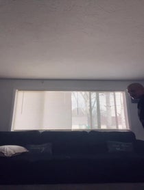Poster for Birthday video from Doggface
