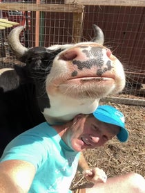 Poster for Birthday video from Ryan and Jenna The Calf Who Lived