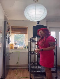 Poster for Other video from Sandra Hannah
