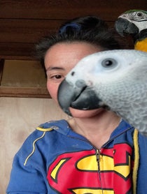 Poster for Pep Talk video from Mina's Animal Sanctuary